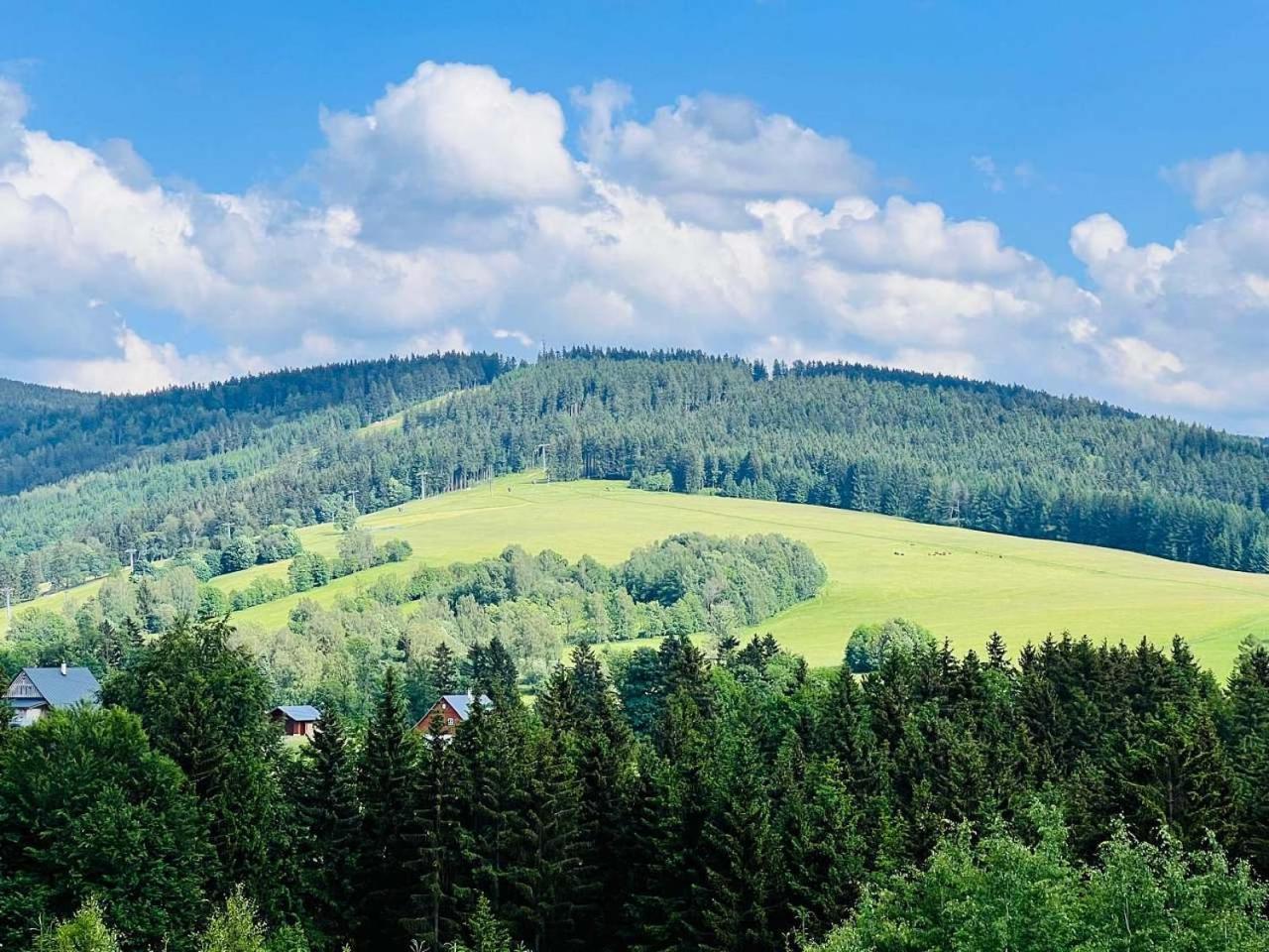 Chalupa Chriby Destne v Orlickych horach Exterior foto