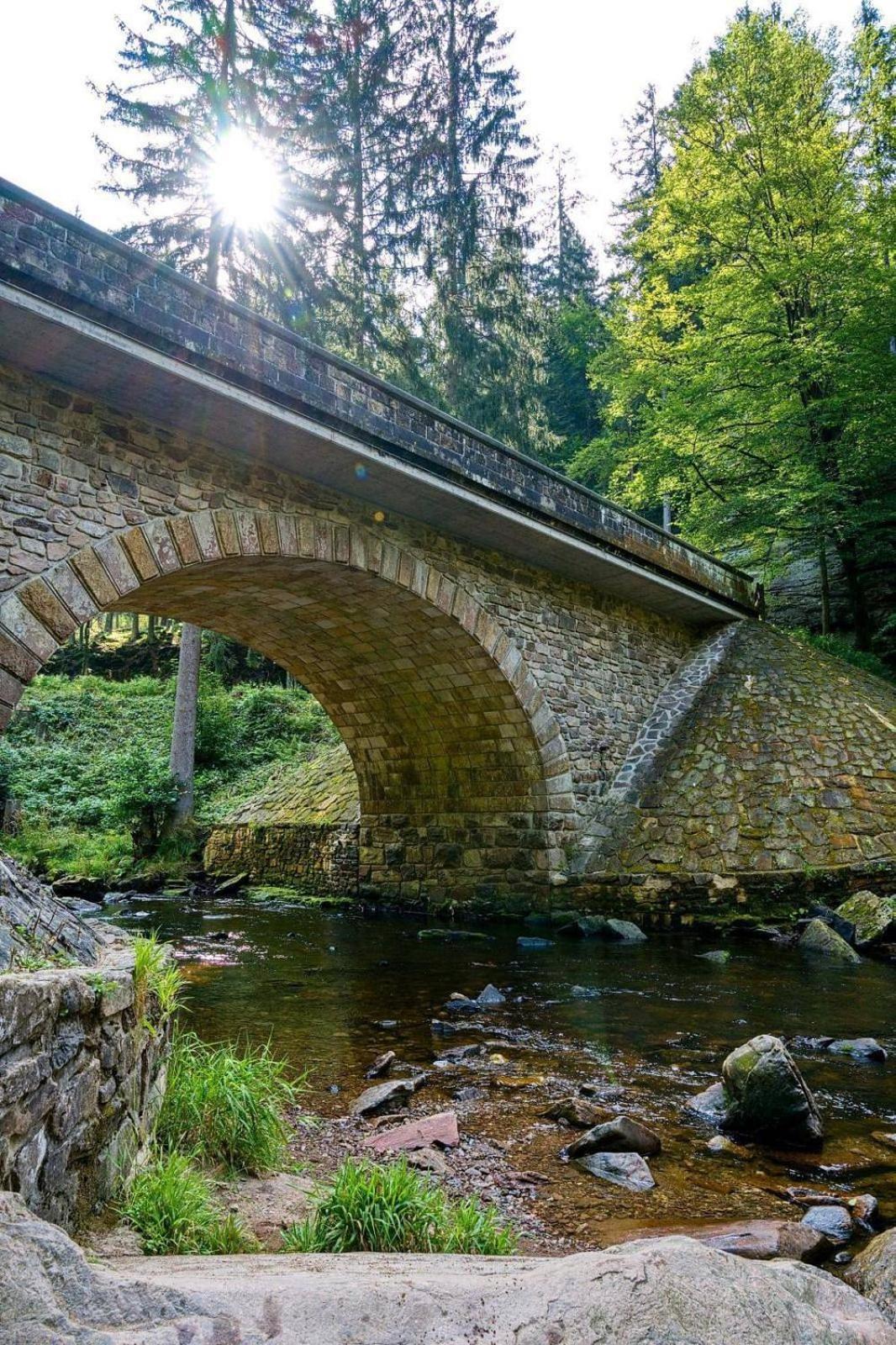 Chalupa Chriby Destne v Orlickych horach Exterior foto